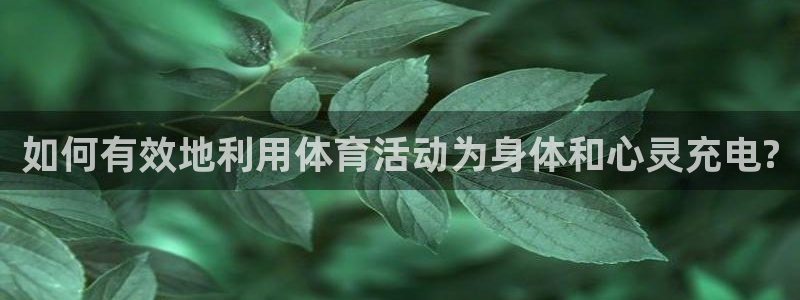 必一运动体育：如何有效地利用体育活动为身体和心灵充电?