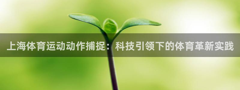 b体育必一运动官网：上海体育运动动作捕捉：科技引领下的体育革新实践