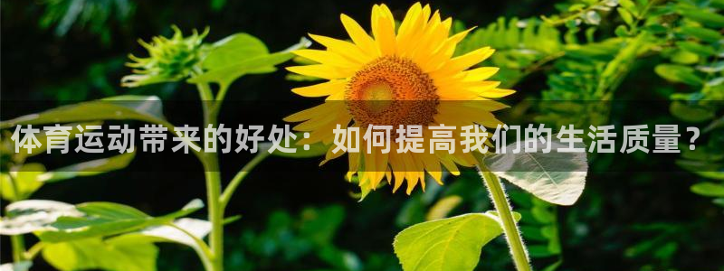 bsports官网 必一运动：体育运动带来的好处：如何提高我们的生活质量？