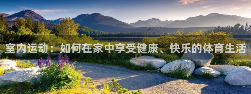 必一运动体育官网：室内运动：如何在家中享受健康、快乐的体育生活
