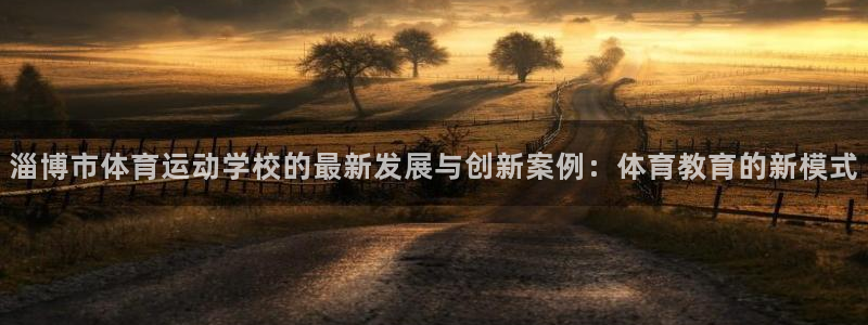 必一运动体育官网：淄博市体育运动学校的最新发展与创新案例：体育教育的新模式