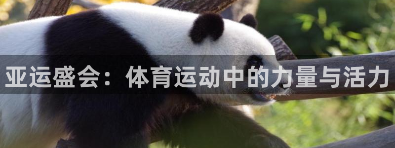 b体育必一运动官网：亚运盛会：体育运动中的力量与活力