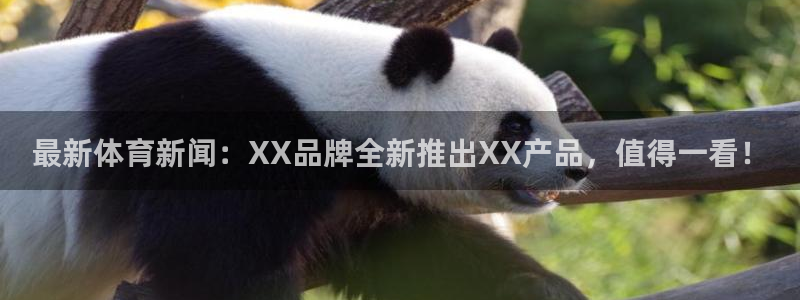 bsports官网 必一运动：最新体育新闻：XX品牌全新推出XX产品，值得一看！