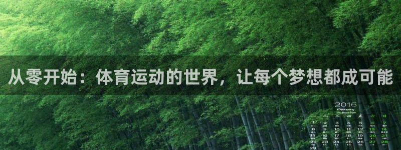 bsport必一运动：从零开始：体育运动的世界，让每个梦想都成可能
