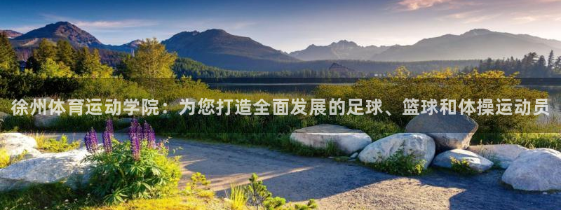 bsport必一运动：徐州体育运动学院：为您打造全面发展的足球、篮球和体操运动员