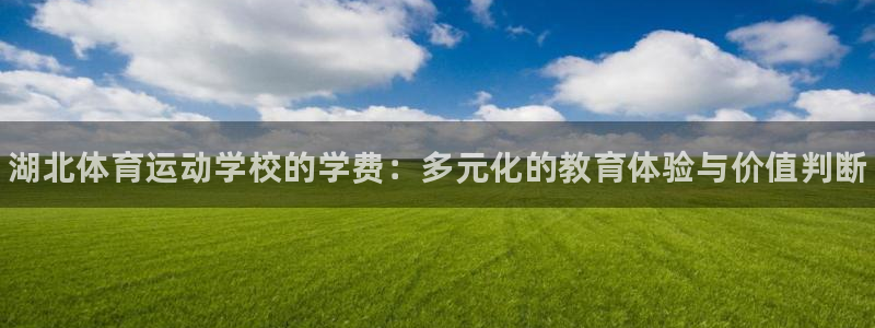 bsports必一运动：湖北体育运动学校的学费：多元化的教育体验与价值判断