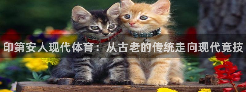 bsport必一运动：印第安人现代体育：从古老的传统走向现代竞技