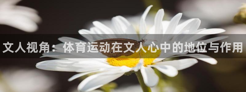 必一运动官网入口：文人视角：体育运动在文人心中的地位与作用