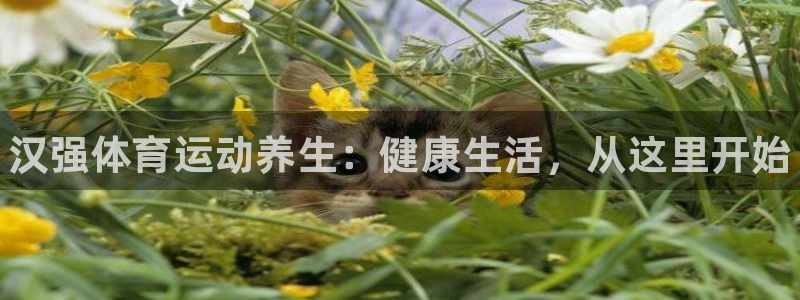 bsport必一运动：汉强体育运动养生：健康生活，从这里开始