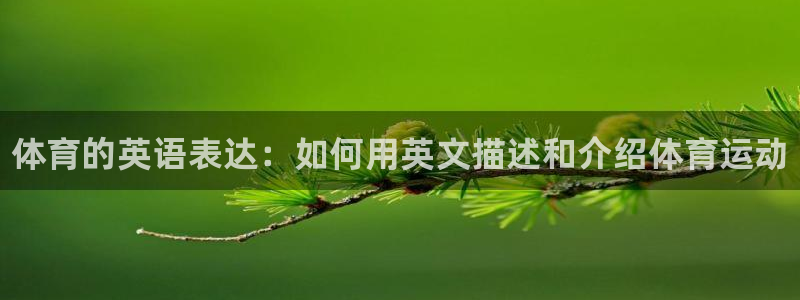 必一运动体育官网入口：体育的英语表达：如何用英文描述和介绍体育运动