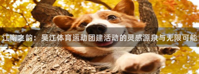 必一运动：江南之韵：吴江体育运动团建活动的灵感源泉与无限可能