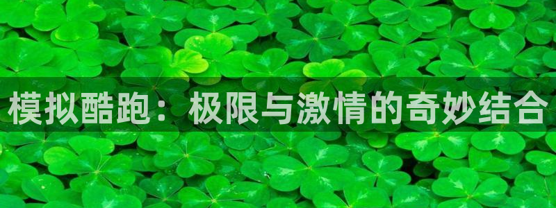 必一运动体育官网：模拟酷跑：极限与激情的奇妙结合