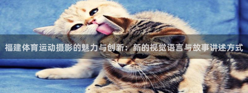必一运动官网：福建体育运动摄影的魅力与创新：新的视觉语言与故事讲述方式