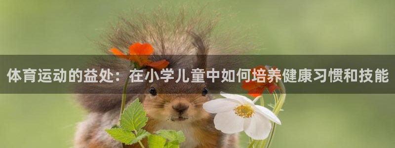 必一运动官网入口：体育运动的益处：在小学儿童中如何培养健康习惯和技能