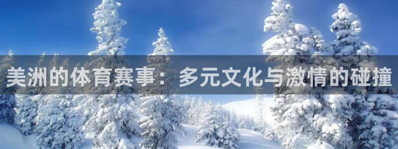 bsports官网 必一运动：美洲的体育赛事：多元文化与激情的碰撞