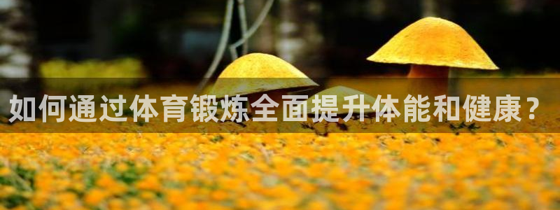 必一运动bsport体育：如何通过体育锻炼全面提升体能和健康？