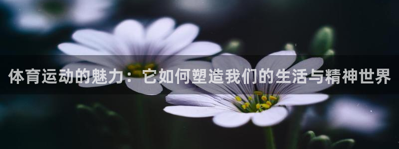 必一运动体育