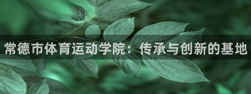 必一运动体育：常德市体育运动学院：传承与创新的基地